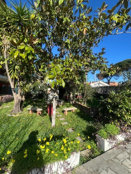 immagine annuncio 1 di 14