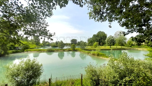 Foto Attività commerciale in Via Riccardo Riporti 8, Piazzola sul Brenta