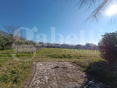 Foto Terreno agricolo in Via Saurone Stradisi 23, Sant'Angelo d'Alife