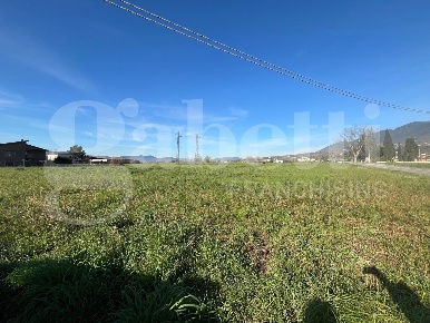 Foto Terreno agricolo in Via Defenza snc, Alife Centro di 7282 m²