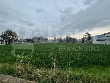 Foto Terreno residenziale in Via SP 330 snc, Dragoni di 4320 m² in vendita