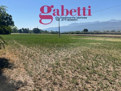 Foto Terreno agricolo in Via SP 70 10, Raviscanina di 10000 m² in vendita