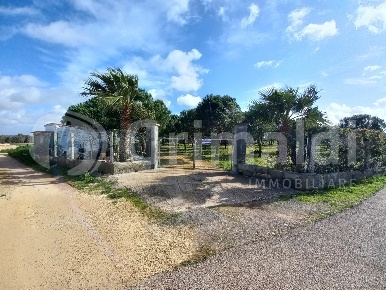 Foto Terreno agricolo in Via Firenze 120, Ugento di 5480 m² in vendita