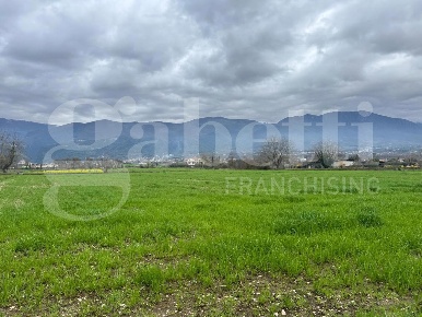 Foto Terreno agricolo in LocalitÃ  San PitÃ² snc, Alife Centro di 3354 m²