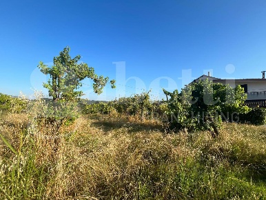 Foto Terreno agricolo in Via Totari 10, Alife Totari di 3510 m² in vendita