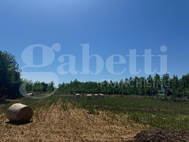 Foto Terreno agricolo in Via Selve snc, Baia e Latina di 49731 m²