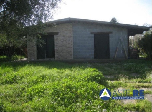 immagine annuncio 7 di 8