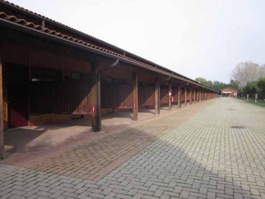 Foto Hotel a Castelletto di Branduzzo di 281 m² con 60 locali in vendita