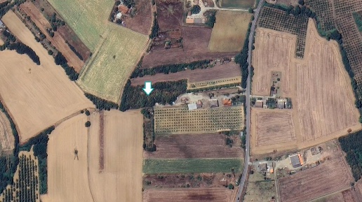 Foto Terreno agricolo a Felizzano di 10220 m² in vendita