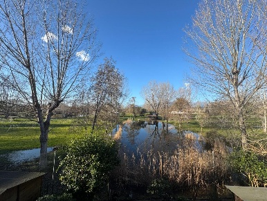 Foto Appartamento a Viareggio Torre del Lago di 55 m² con 4 locali