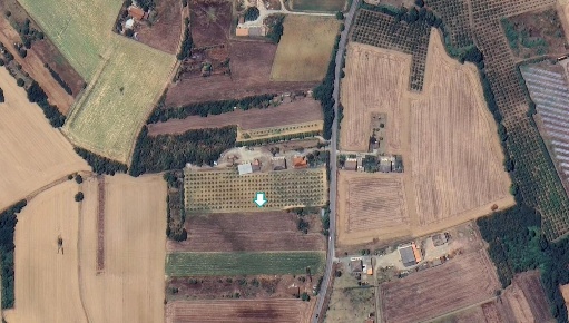 Foto Terreno agricolo a Felizzano di 2310 m² in vendita