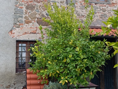 Foto Casa indipendente a Montecatini-Terme di 150 m² con 7 locali