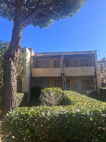 Foto Appartamento a Bibbona Marina Di Bibbona di 40 m² con 2 locali