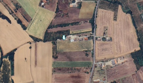 Foto Terreno agricolo a Felizzano di 2890 m² in vendita