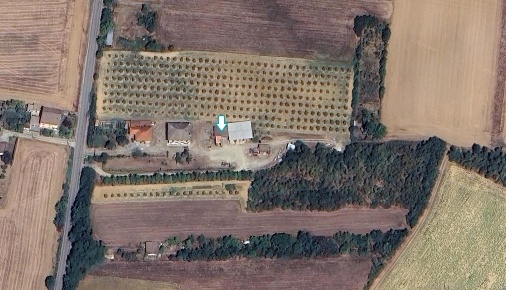 Foto Magazzino a Felizzano di 60 m² con 1 locali in vendita