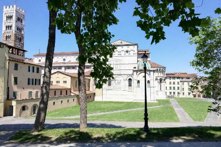 Foto Villa unifamiliare a Lucca Arancio di 550 m² con 20 locali in vendita