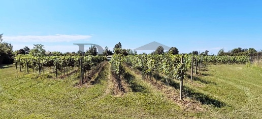 Foto Terreno agricolo in Via Portelle 1, Orsago di 32000 m² in vendita