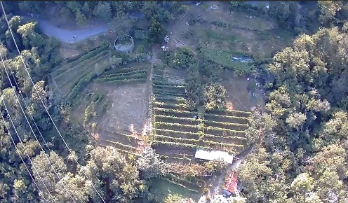 Foto Terreno agricolo in Via Ca de Cia snc, Finale Ligure di 8636 m²