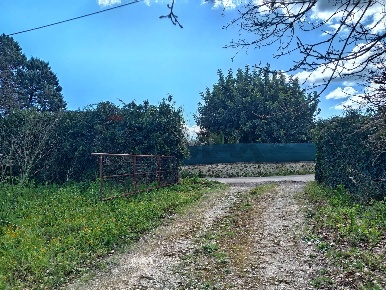 Foto Terreno agricolo in Contrada Casabianca sn, Palazzolo Acreide Centro
