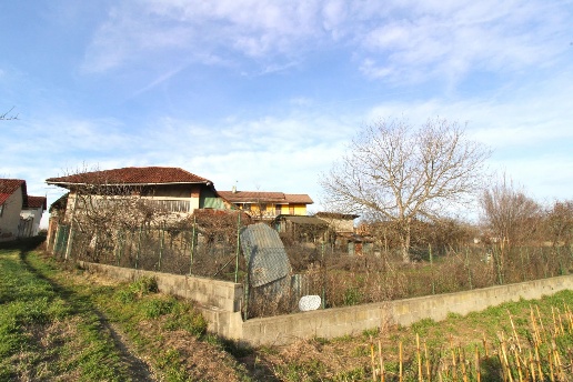 immagine annuncio 11 di 15