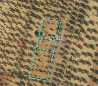 Foto Terreno agricolo in Via Sp 53 snc, Manduria di 6542 m² in vendita