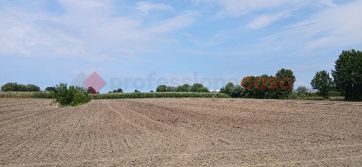 Foto Terreno agricolo a Cologna Veneta Sulé di 5725 m² in vendita