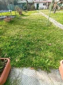 Foto Appartamento a Lucca Nave di 40 m² con 2 locali in vendita