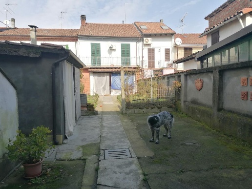 immagine annuncio 1 di 15