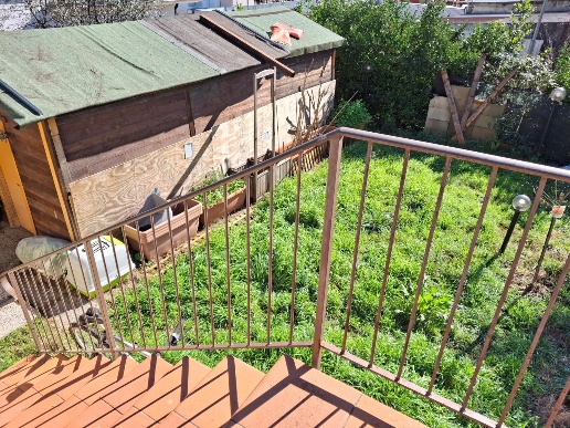 immagine annuncio 9 di 13