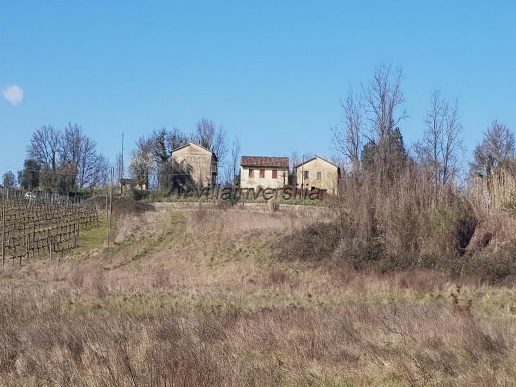 immagine annuncio 6 di 8