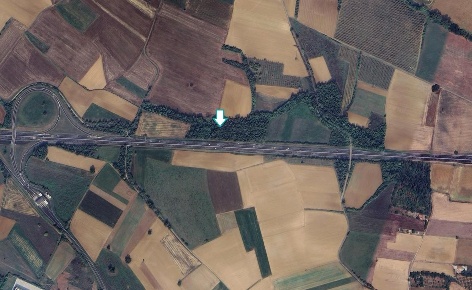 Foto Terreno agricolo a Felizzano di 12900 m² in vendita