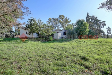 Foto Villa unifamiliare in Strada Lunga snc, Latina Nascosa di 220 m²