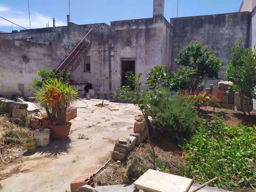 immagine annuncio 6 di 14