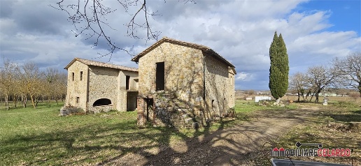 Foto Rustico a Casole d'Elsa Il Piano di 830 m² con 15 locali in vendita