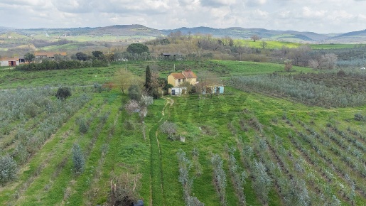 Foto Rustico in Str. della Sgrilla 28-20 58011 Manciano GR 1, Capalbio