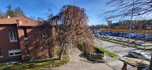 Foto Appartamento in vittorio veneto, Gallarate Cascinetta di 100 m²