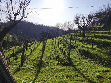 Foto Case semi ndipendenti a Carrara Perticata, Bonascola, Nazzano di 80 m²