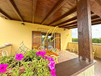 Foto Terreno agricolo a Bibbona di 10382 m² in vendita