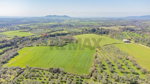 Foto Terreno agricolo in Via di Cellere snc, Ischia di Castro in vendita
