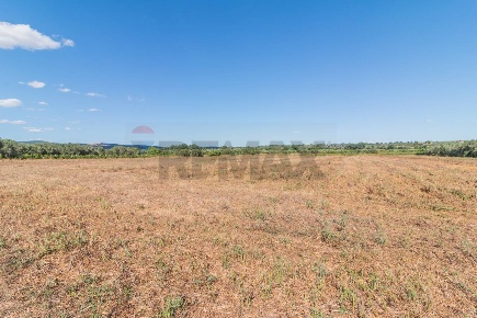 Foto Terreno agricolo a Canino di 10000 m² in vendita