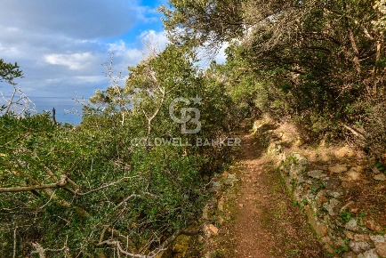 Foto Villa unifamiliare in Loc. La Cala, Marciana Marina di 85 m²