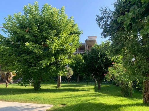 immagine annuncio 8 di 11