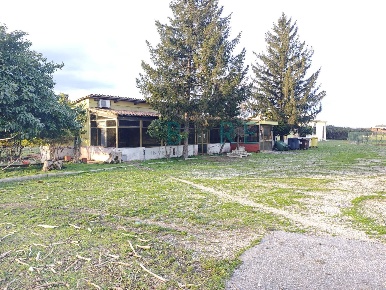 Foto Locale commerciale in VIA TRAVERSA PONTE DEL GRILLO 53, Roma di 527 m²