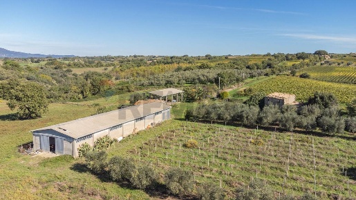 Foto Terreno agricolo in Località Campetuzzi, Pitigliano Centro in vendita