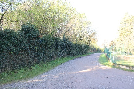 Foto Terreno agricolo in via don ruggieri 30, Madone di 2658 m² in vendita