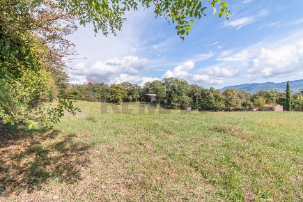 Foto Terreno agricolo in scalabrelli 0, Semproniano di 52042 m² in vendita