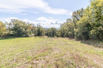 Foto Terreno agricolo a Semproniano di 22220 m² in vendita