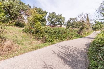 Foto Terreno agricolo in scalabrelli, Semproniano di 22220 m² in vendita