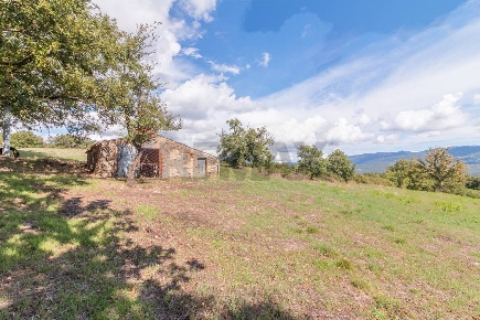 Foto Terreno agricolo a Semproniano in vendita