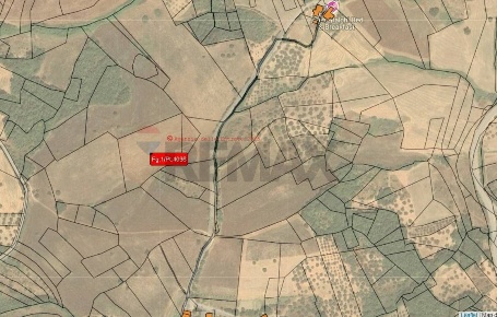 Foto Terreno agricolo in Contrada tutoglio 12, Pennadomo di 9850 m²